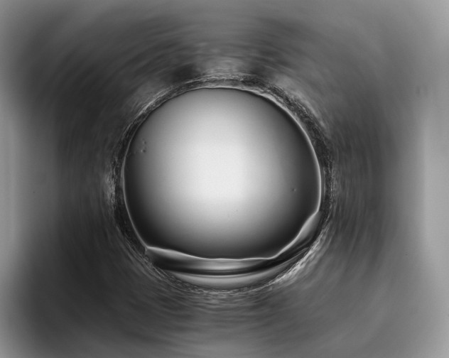 X0000096201401200801181332