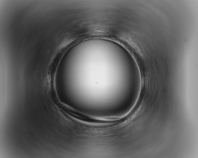 X0000096201402200801181332