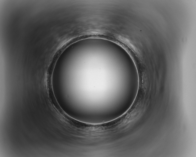 X0000096201404200801181332