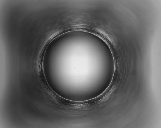 X0000096201405200801181332