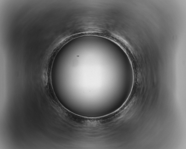 X0000096201407200801181332