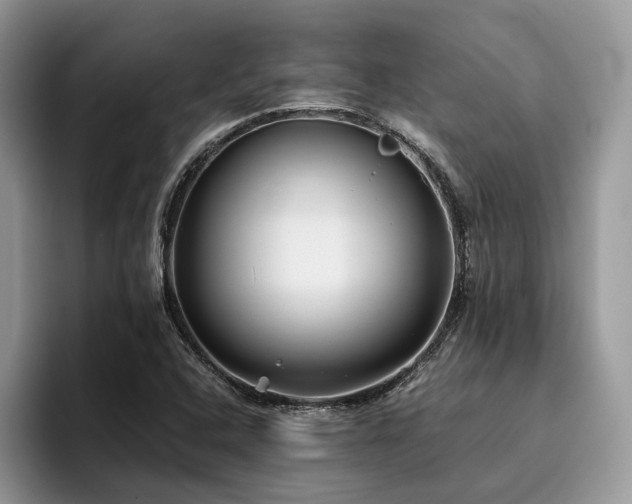 X0000096201408200801181332