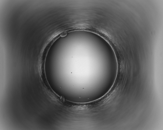 X0000096201410200801181332