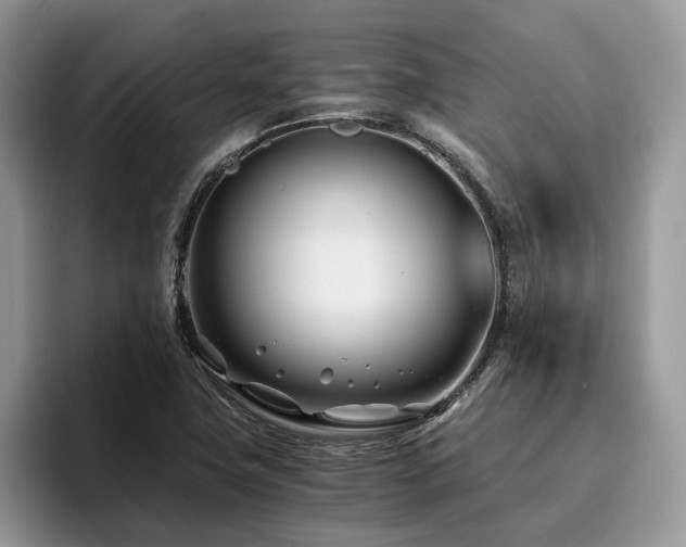 X0000096201411200801181332