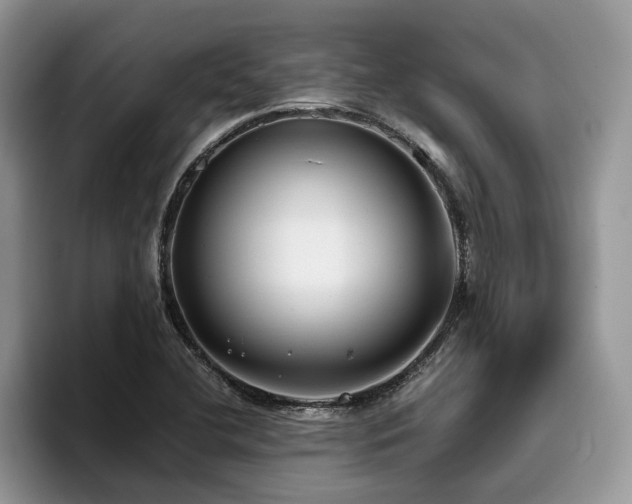 X0000096201412200801181332
