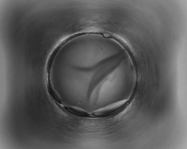 X0000096201414200801181332