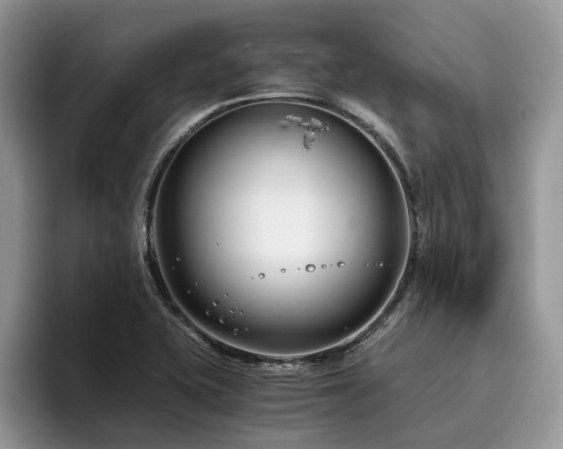 X0000096201415200801181332