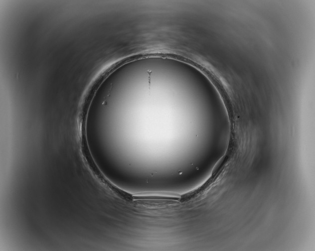 X0000096201416200801181332