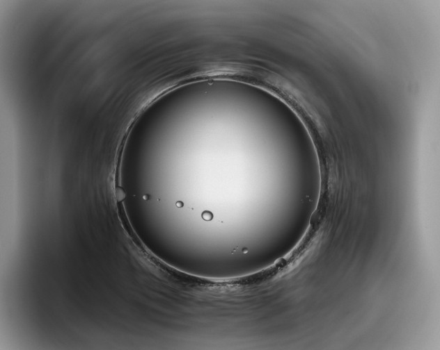 X0000096201417200801181332