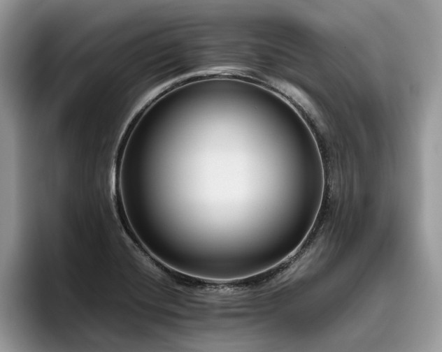 X0000096201420200801181332