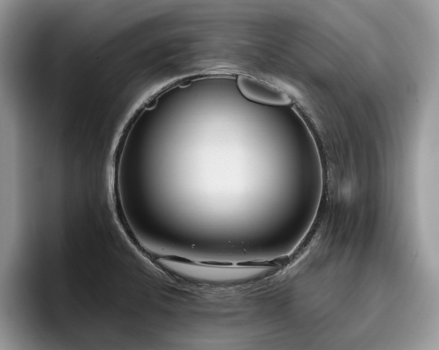 X0000096201424200801181332