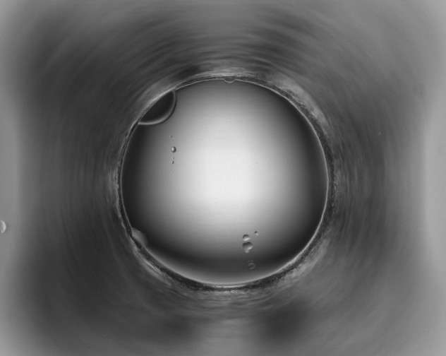 X0000096201425200801181332