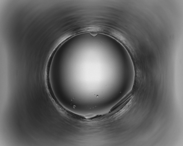 X0000096201426200801181332
