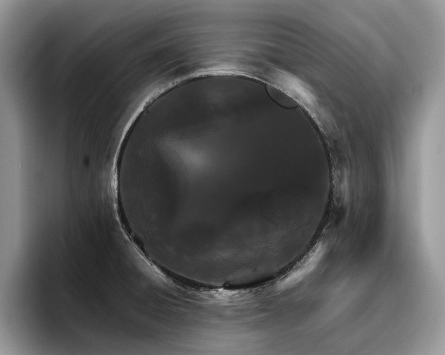 X0000096201428200801181332