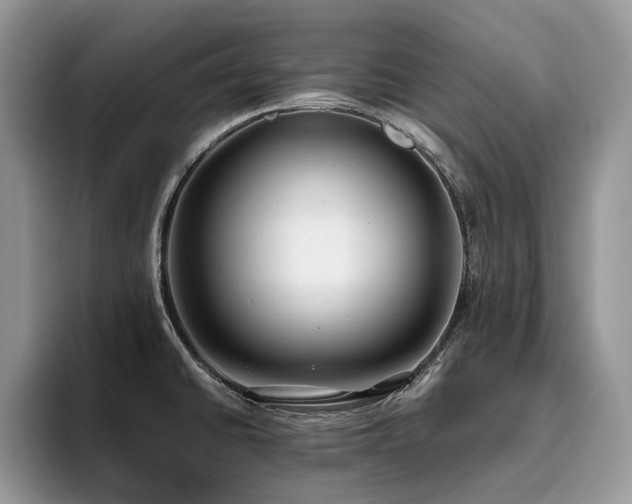 X0000096201430200801181332