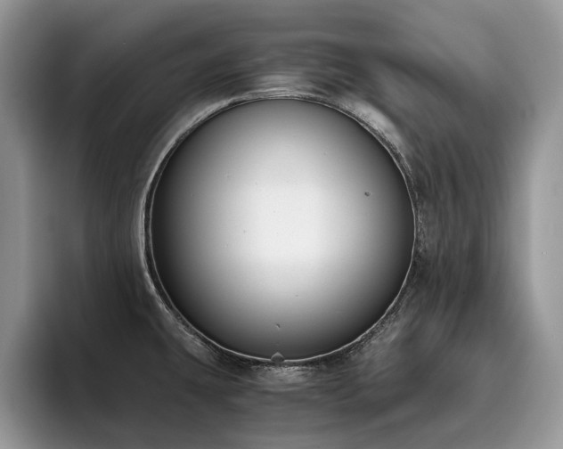 X0000096201431200801181332