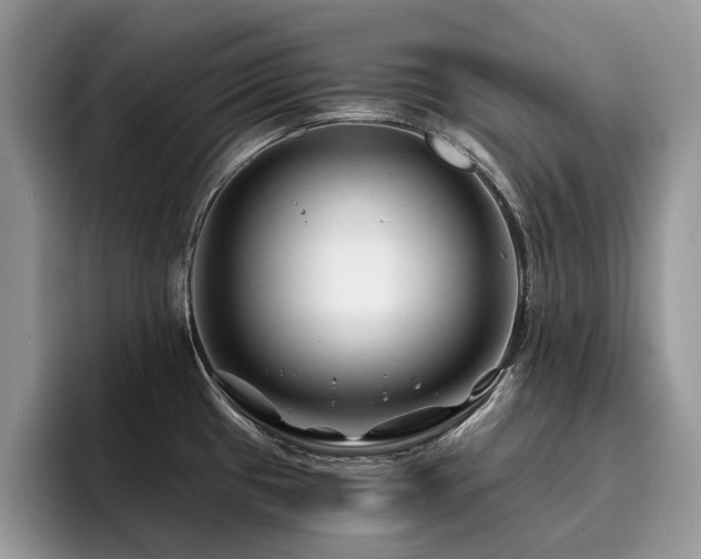 X0000096201433200801181332