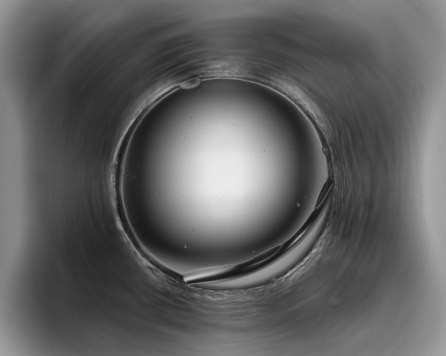 X0000096201434200801181332