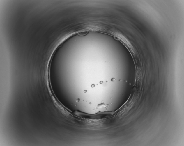 X0000096201439200801181332