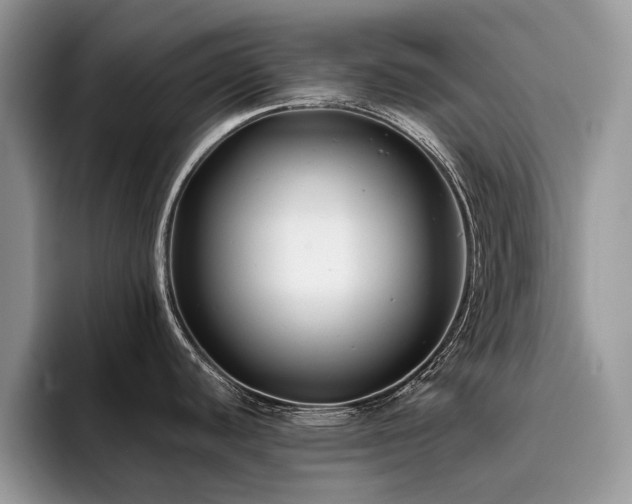 X0000096201440200801181332
