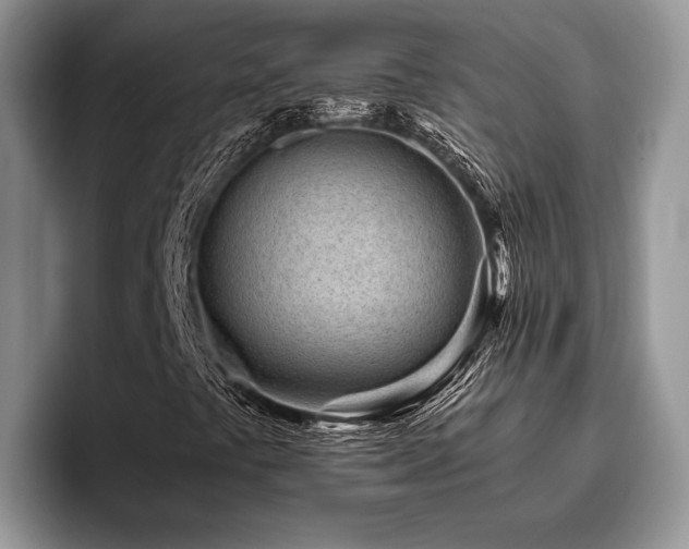 X0000096201441200801181331