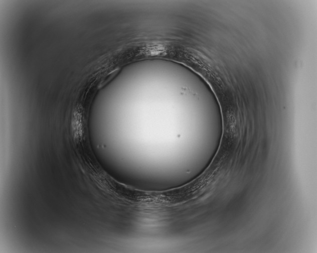 X0000096201442200801181331