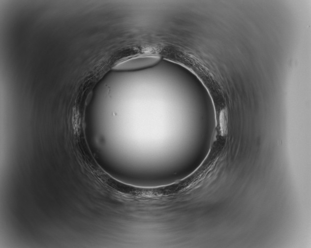 X0000096201443200801181331