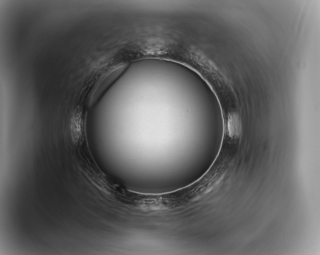 X0000096201444200801181331