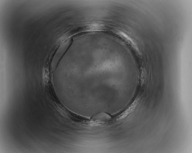 X0000096201449200801181331