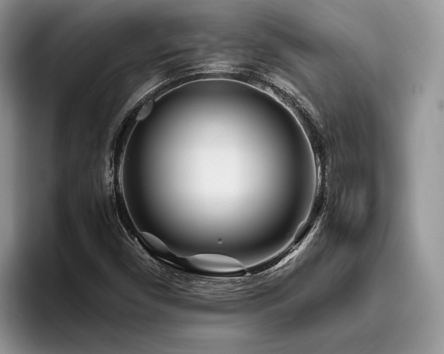 X0000096201450200801181331