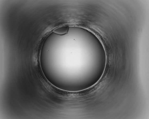 X0000096201451200801181331