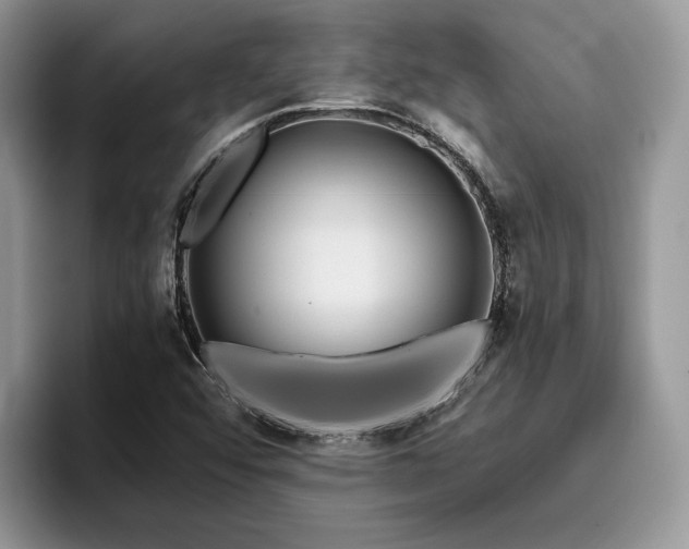X0000096201456200801181331