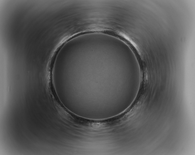 X0000096201459200801181331