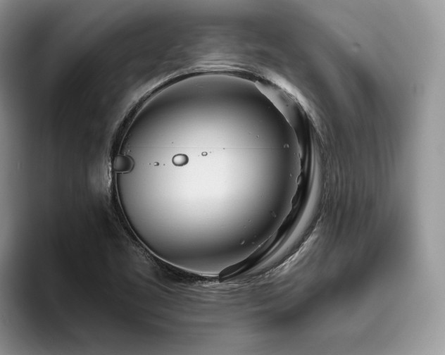 X0000096201461200801181331