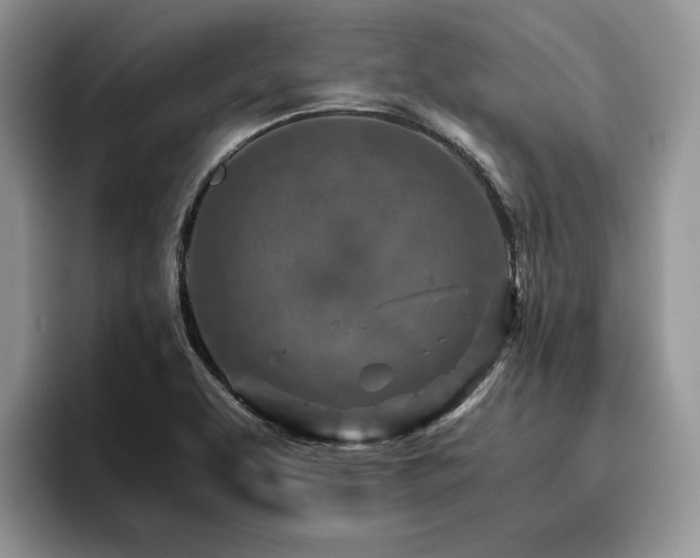 X0000096201463200801181331