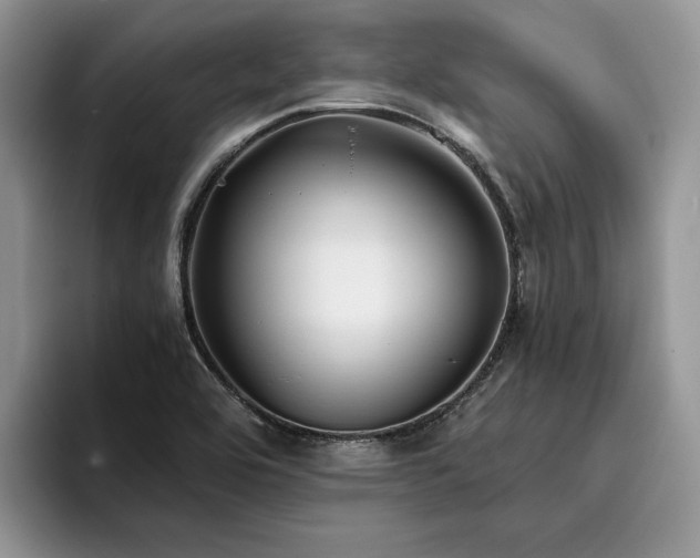 X0000096201464200801181331