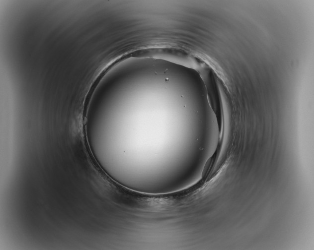 X0000096201465200801181331