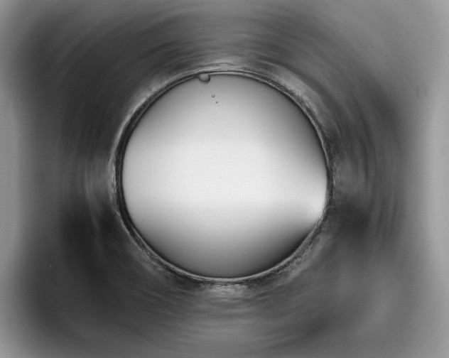 X0000096201466200801181331