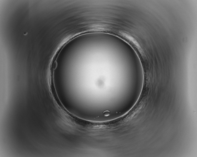 X0000096201467200801181331