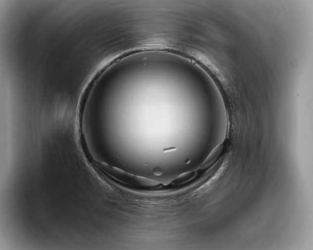 X0000096201469200801181331
