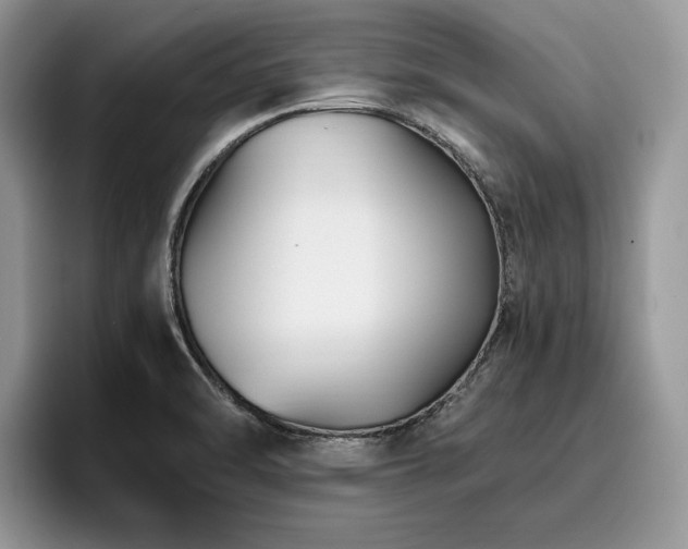 X0000096201470200801181331