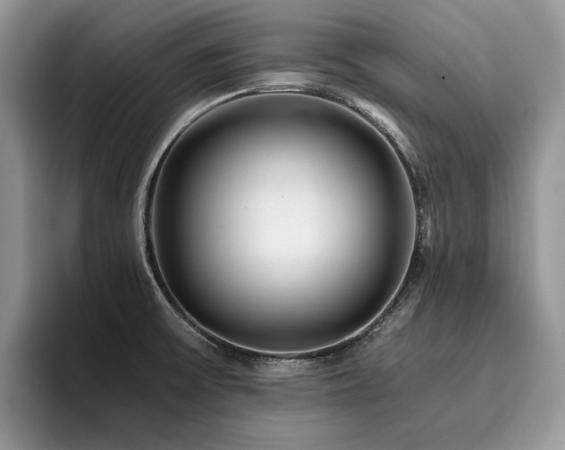 X0000096201475200801181331