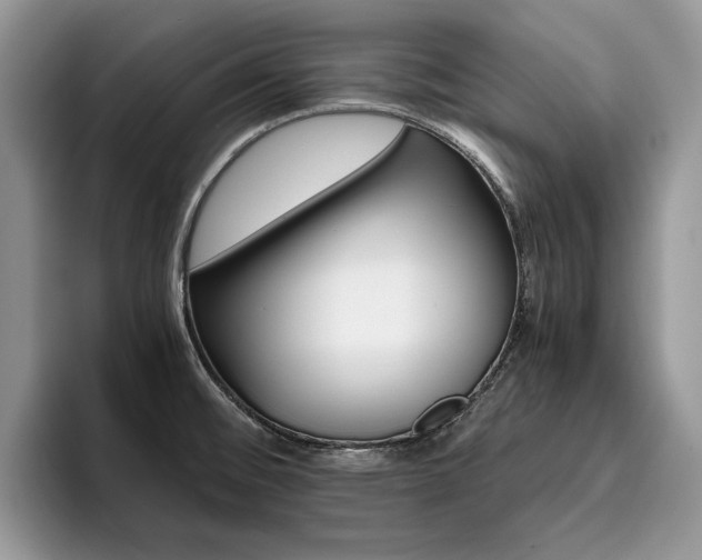 X0000096201476200801181331
