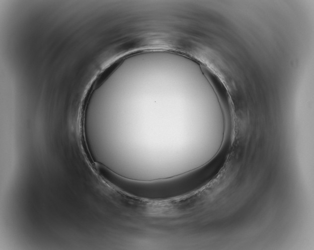 X0000096201477200801181331