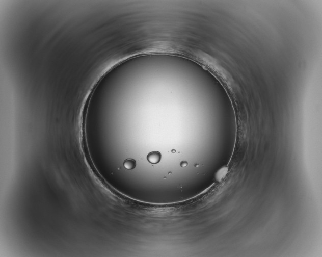 X0000096201479200801181331
