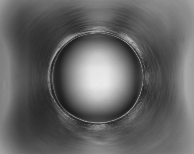 X0000096201482200801181331