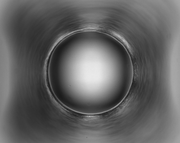 X0000096201483200801181331