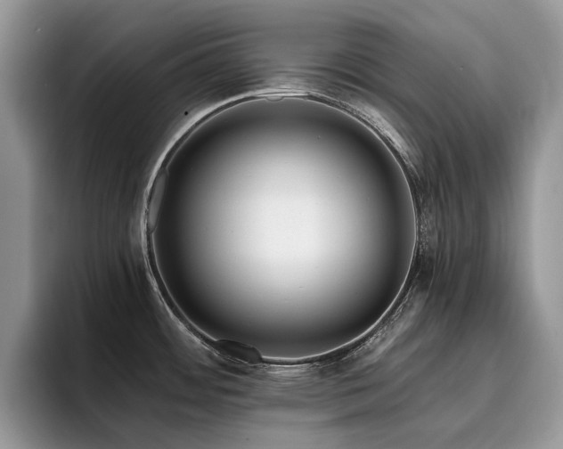 X0000096201484200801181331