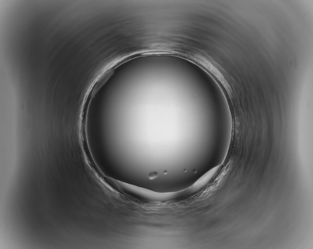 X0000096201485200801181331