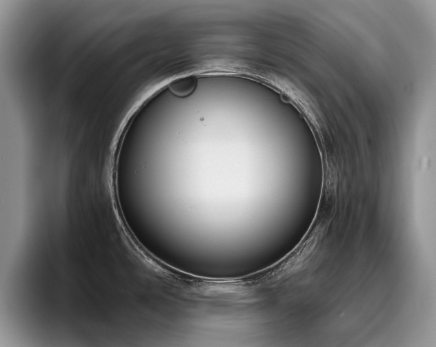 X0000096201486200801181331